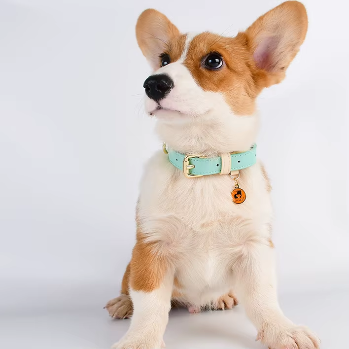 [vendor] S M L Dog Collar, Leather Dog Collar, For Small, Medium, And Large