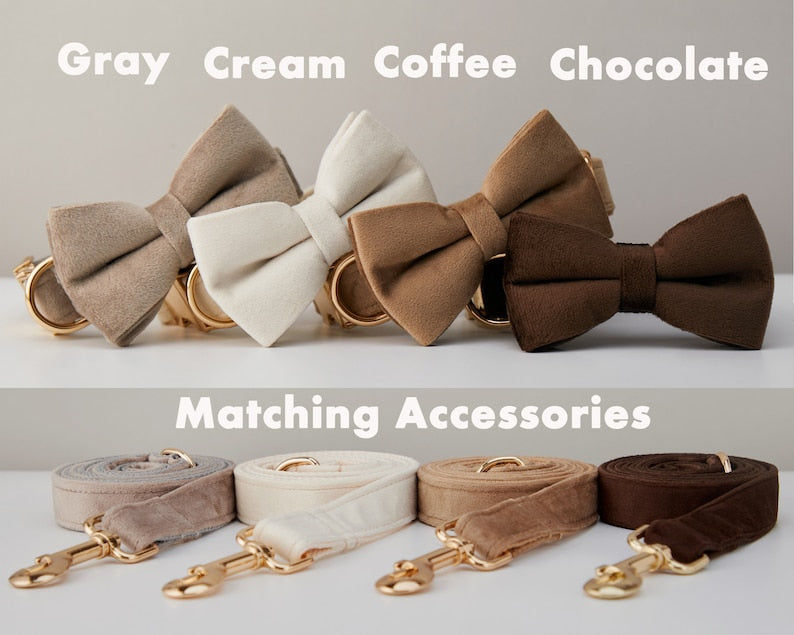 [vendor] Multiple Colour Velvet Personalise Dog Collar Leash Set With Bow