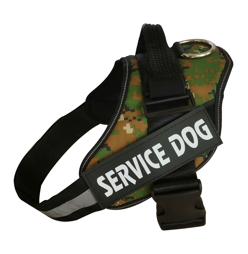 [vendor] The Y-Harness