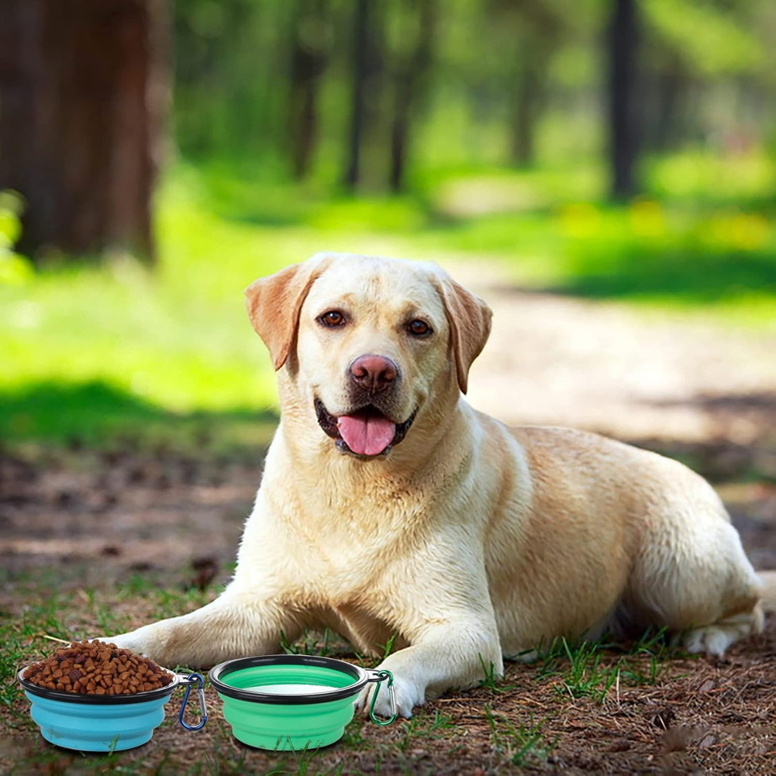 [vendor] Collapsible Bowl With Cover Lids,2 Pack Dog Travel Bowls Portable