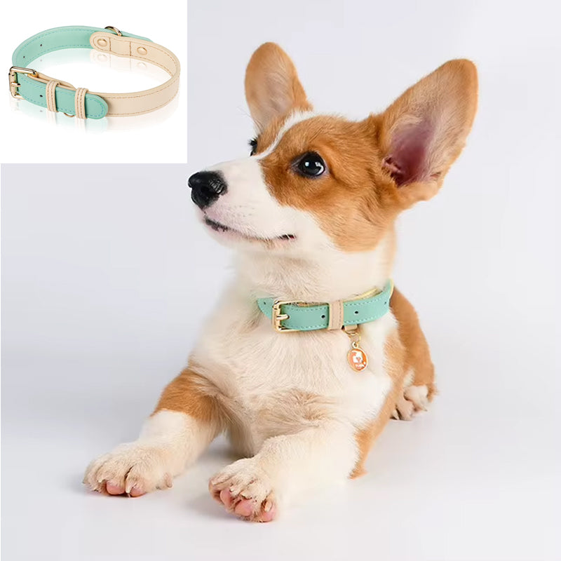 [vendor] S M L Dog Collar, Leather Dog Collar, For Small, Medium, And Large