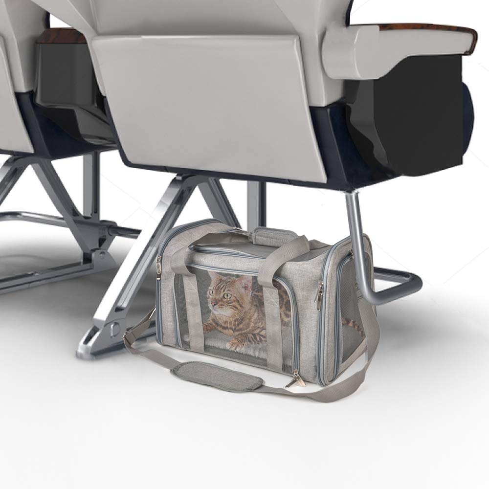 [vendor] The Air Carrier