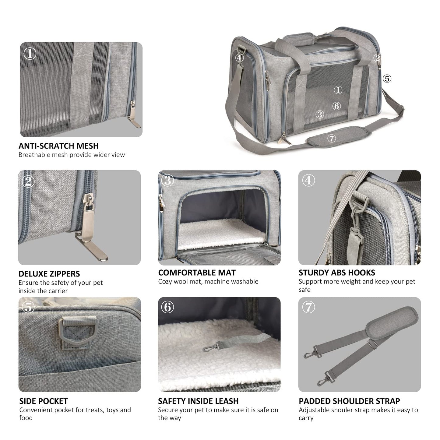 [vendor] The Air Carrier