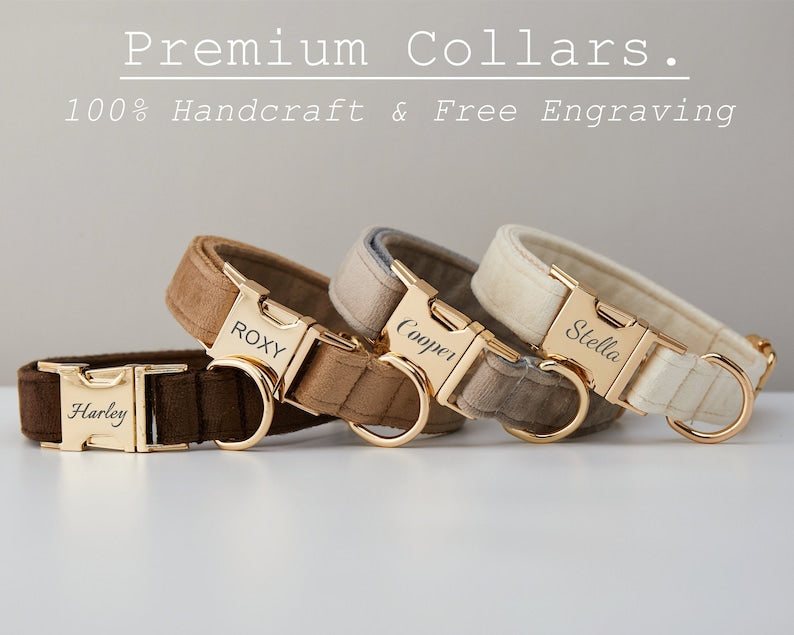 [vendor] Multiple Colour Velvet Personalise Dog Collar Leash Set With Bow