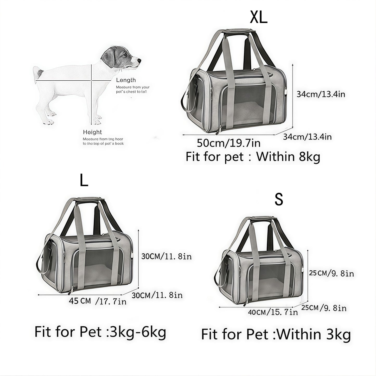 [vendor] The Air Carrier
