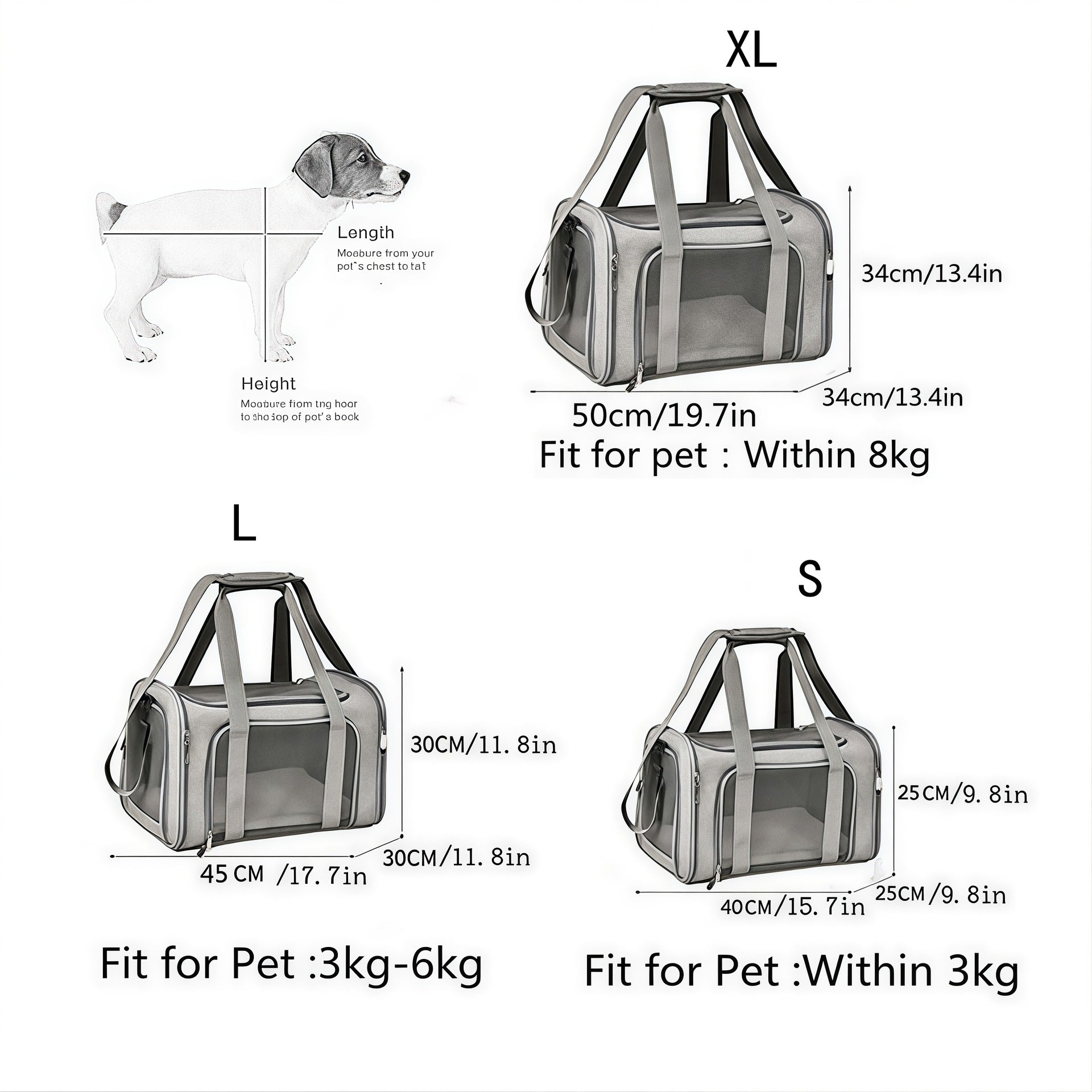 [vendor] The Air Carrier