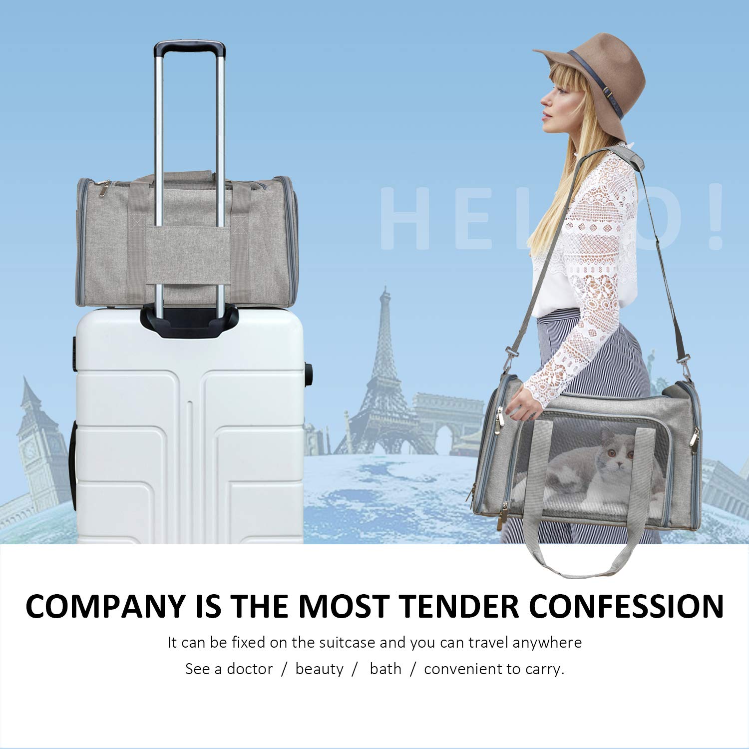 [vendor] The Air Carrier