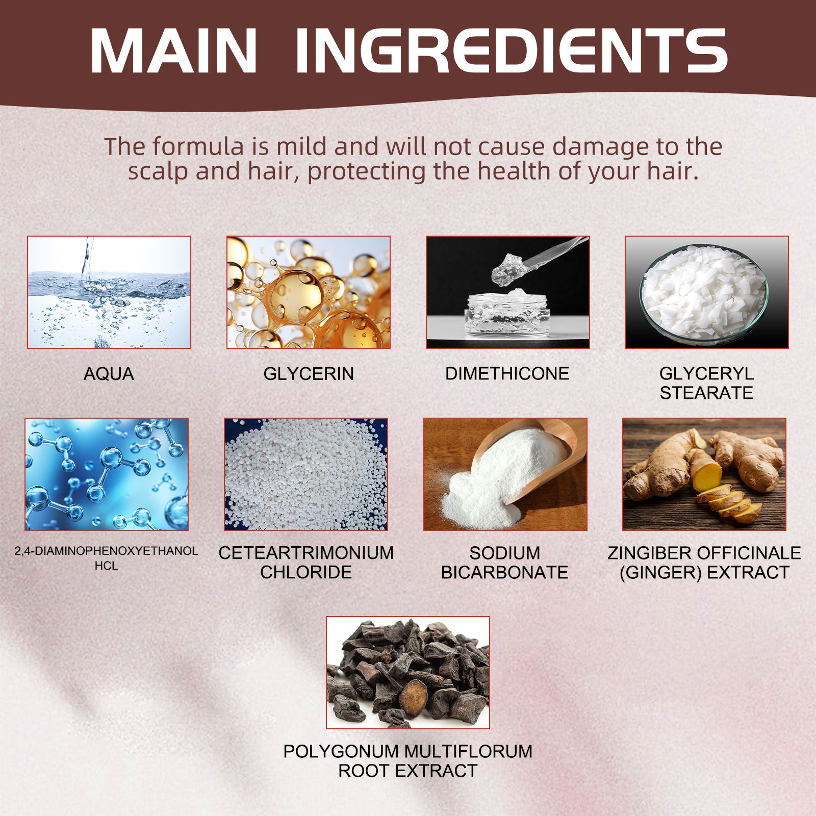 [vendor] Polygonum Hair Dye Comb, Deep Clean Dry Smooth Black