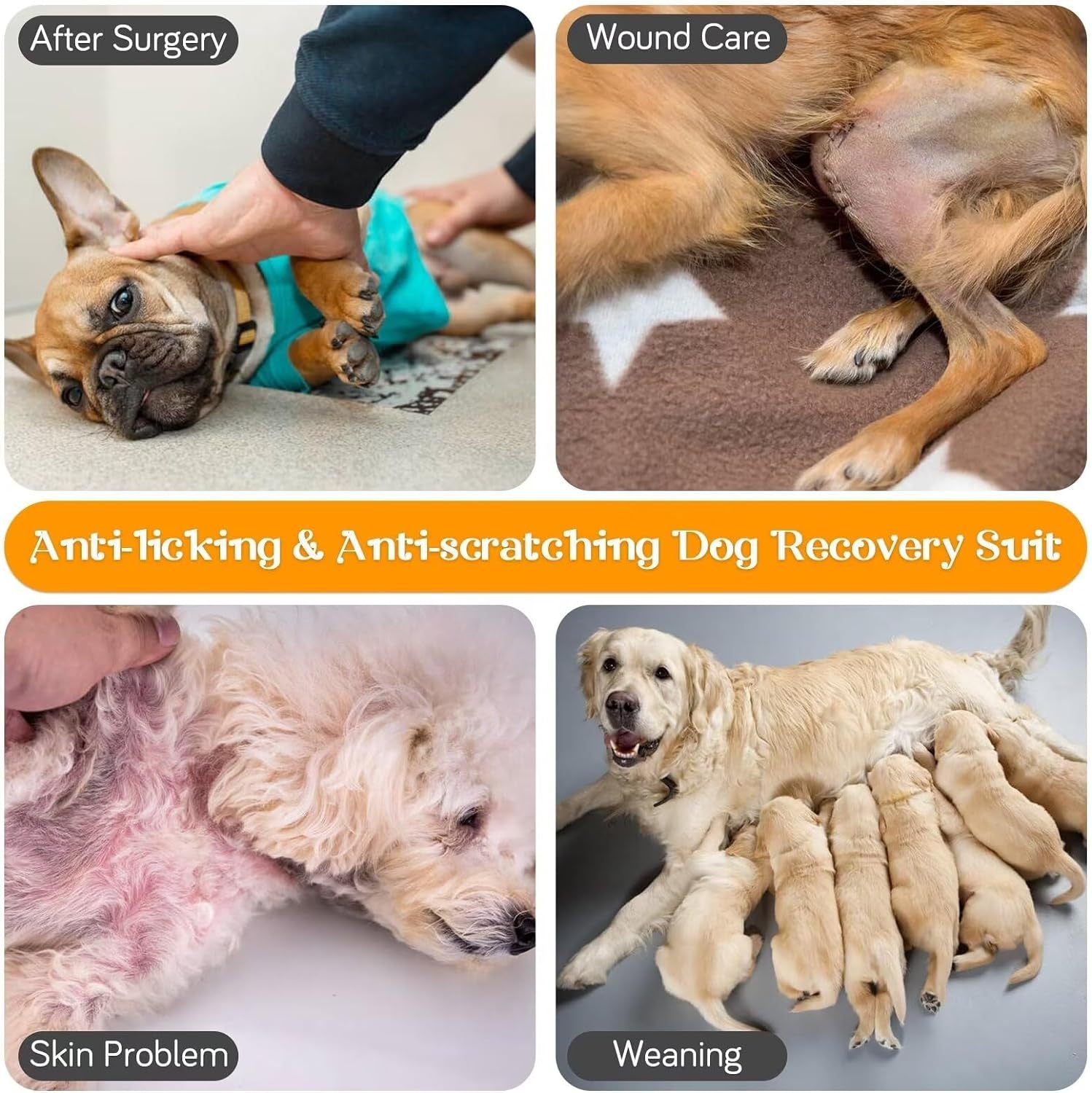 [vendor] Dog Recovery Suit For Neuter Spay,Anti-Licking Dog Surgical