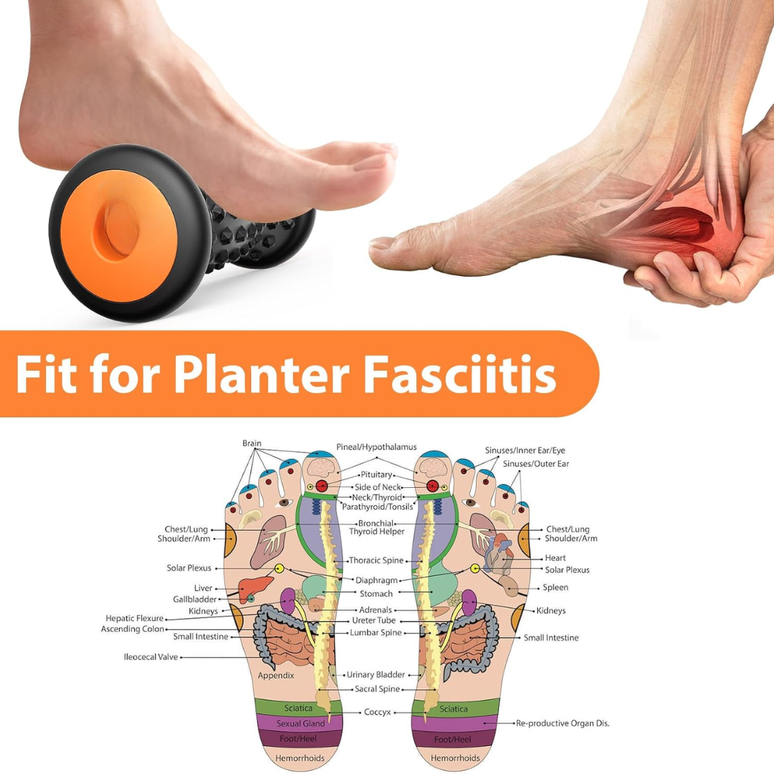 [vendor] Foot Massager Roller For Plantar Fasciitis Relief