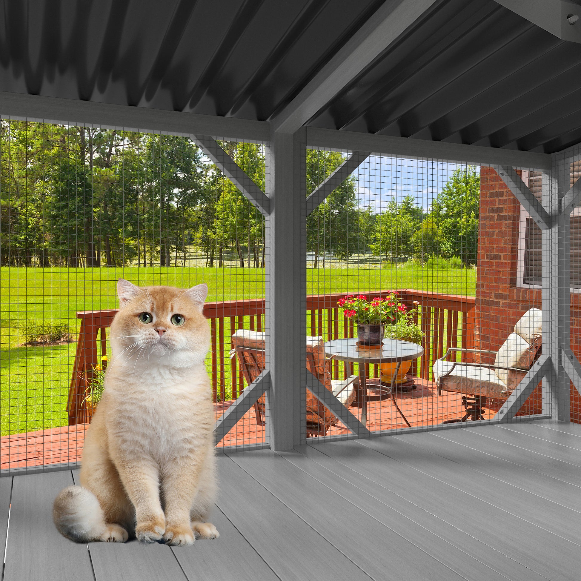 [vendor] Cat Catio, Cat Window Perch For Large Indoor Cats - For