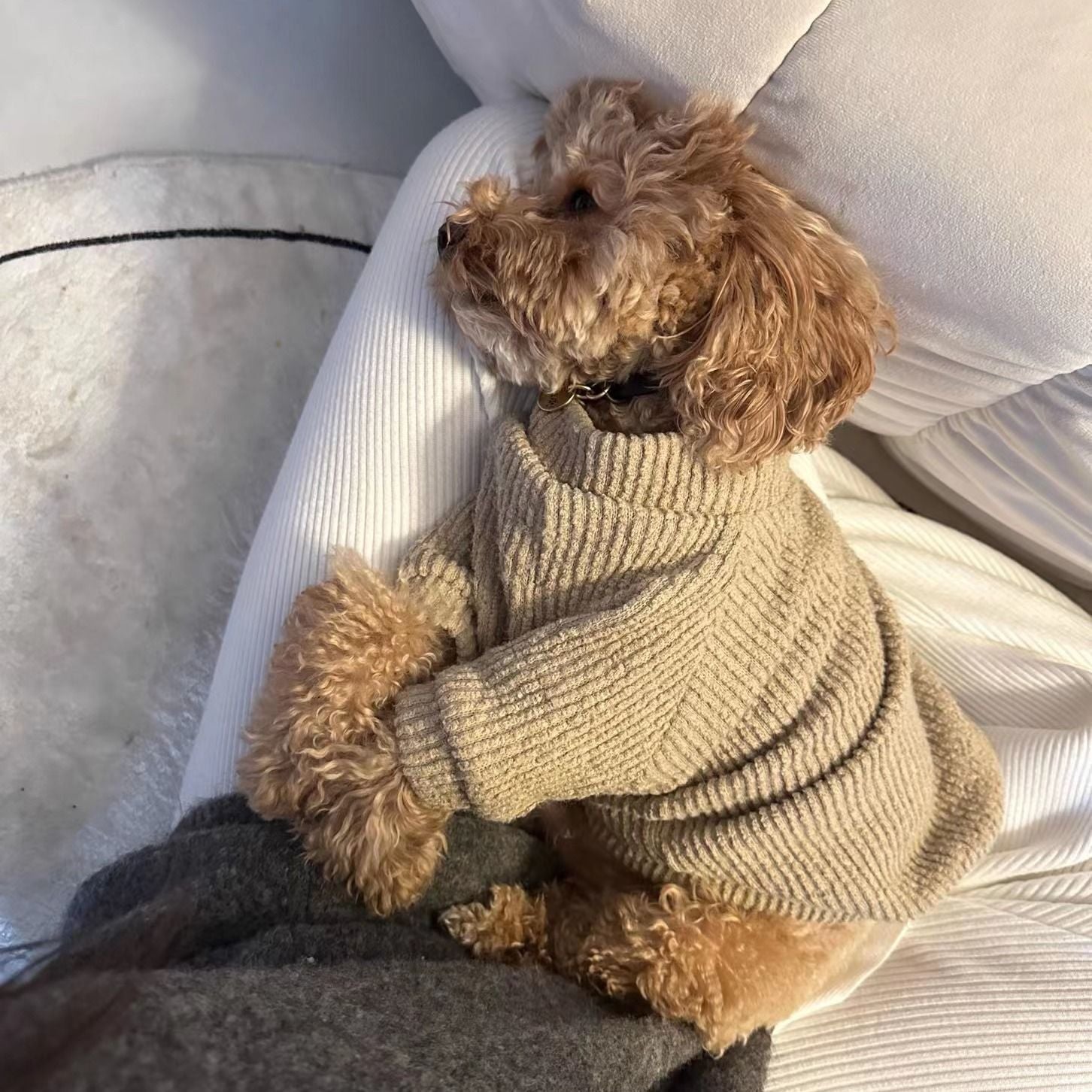 [vendor] Pet Dog Clothes Sweater Pullover Bichon Pomeranian Teddy Schnauzer