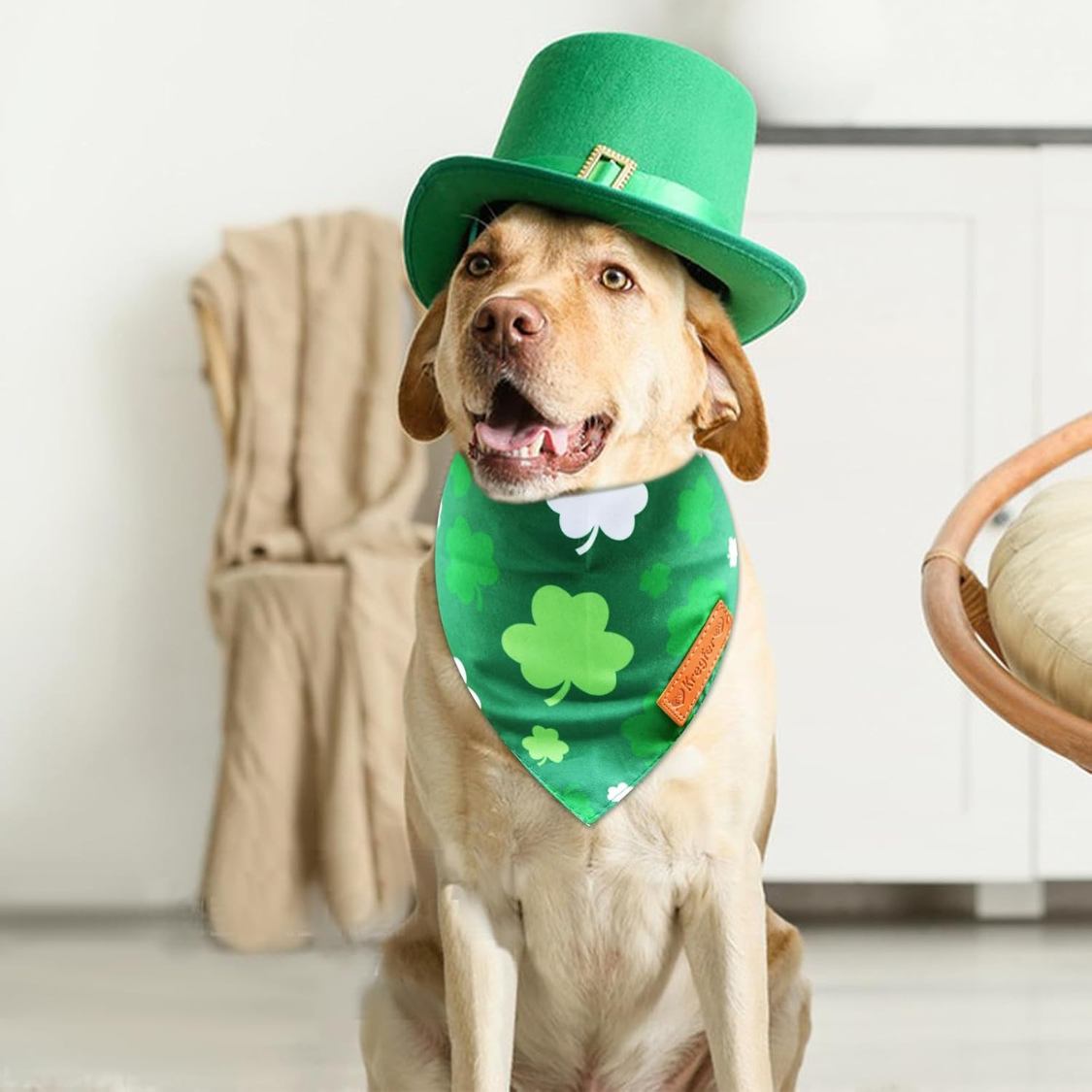 [vendor] 2 Pieces St. Patrick's Day Dog Bandanas, Double-Sided Reversible