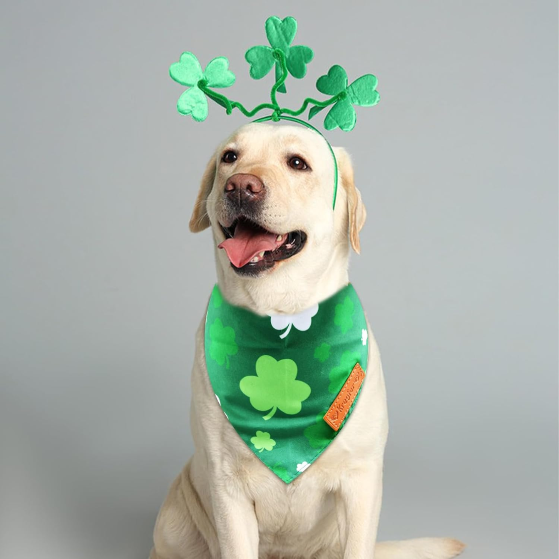 [vendor] 2 Pieces St. Patrick's Day Dog Bandanas, Double-Sided Reversible