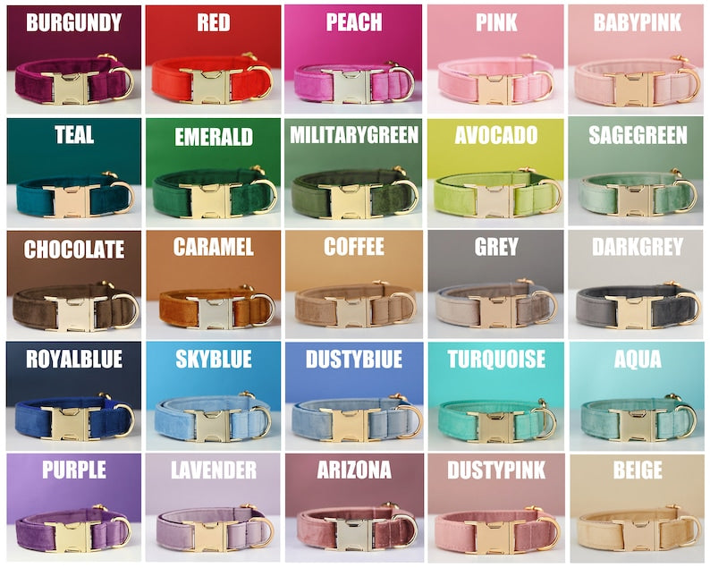 [vendor] Multiple Colour Velvet Personalise Dog Collar Leash Set With Bow