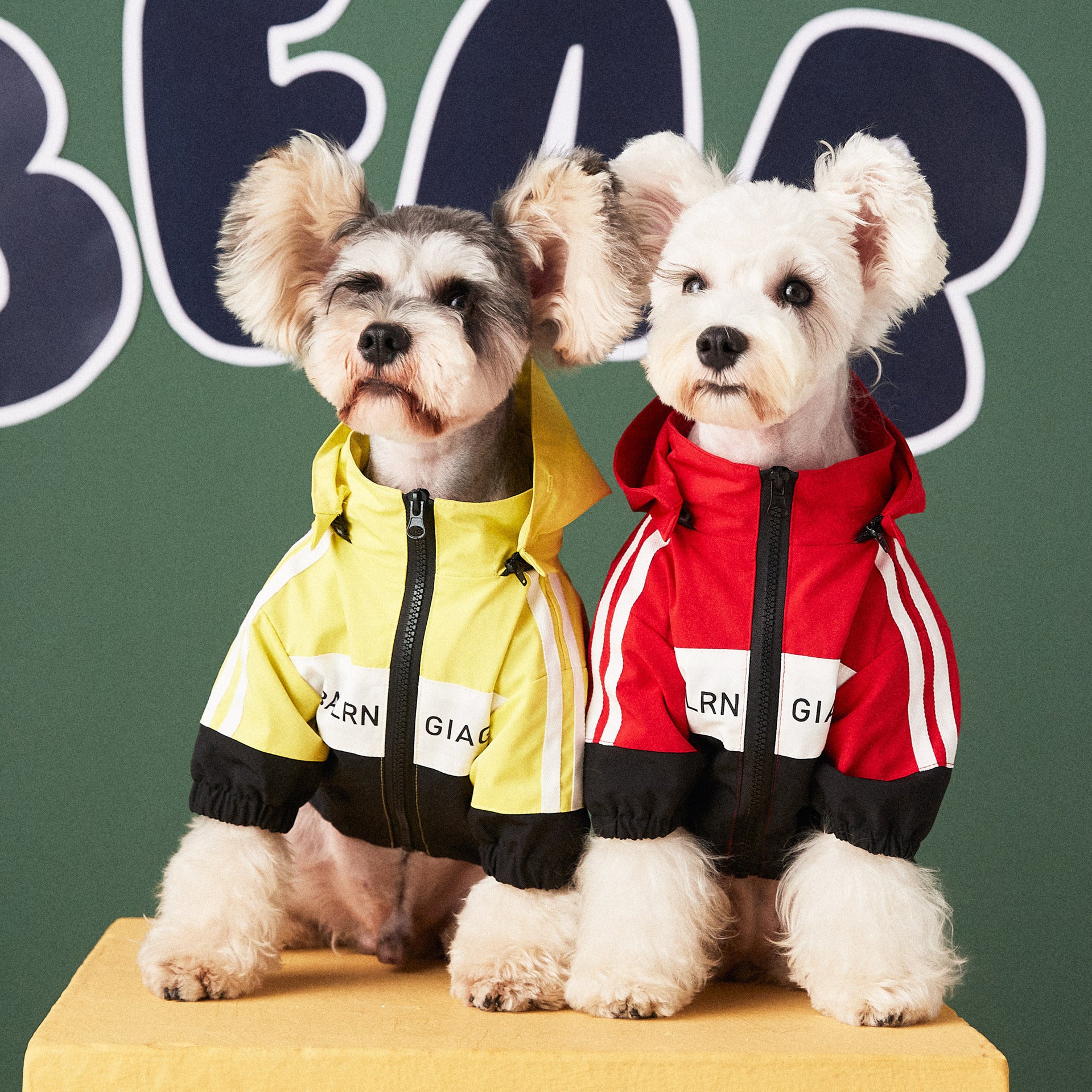 [vendor] Dog Clothes Waterproof Raincoat Jacket