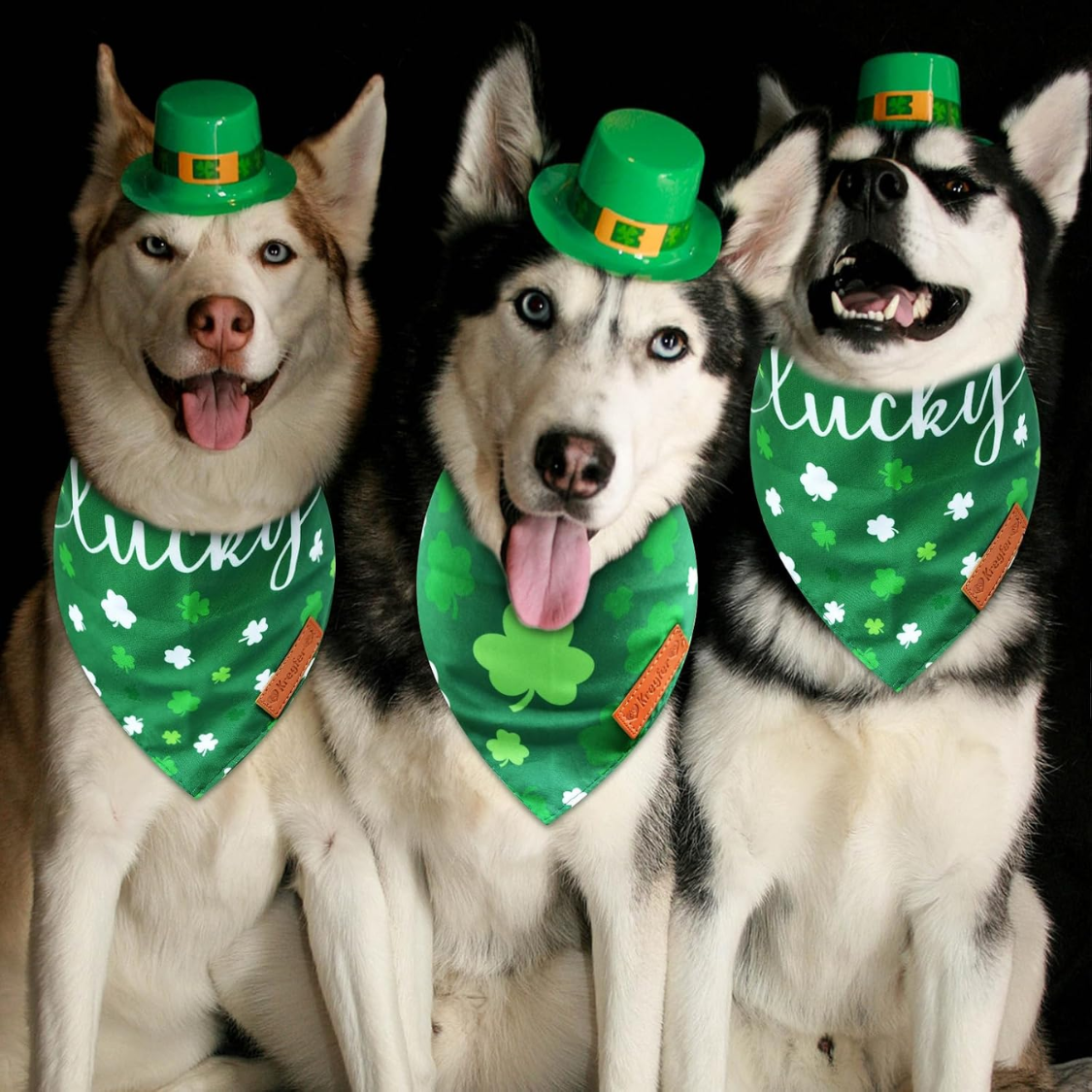 [vendor] 2 Pieces St. Patrick's Day Dog Bandanas, Double-Sided Reversible